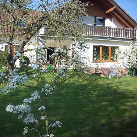 Ferienwohnung Lahntal/Taunus Huttenberg Exterior foto