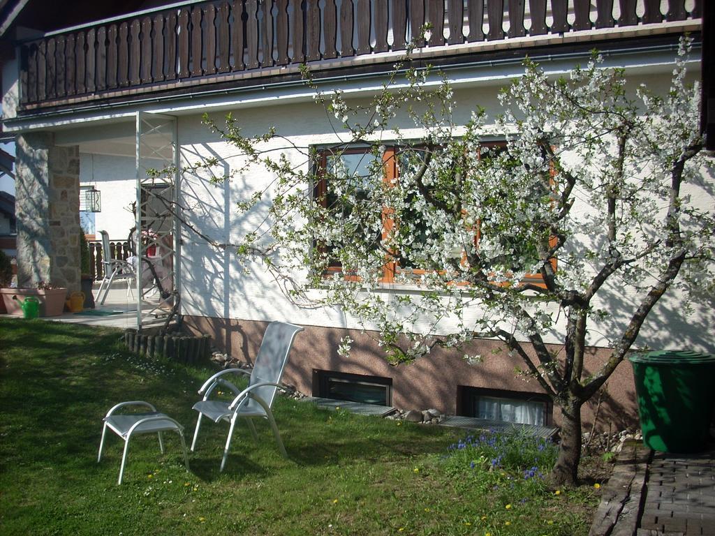 Ferienwohnung Lahntal/Taunus Huttenberg Exterior foto
