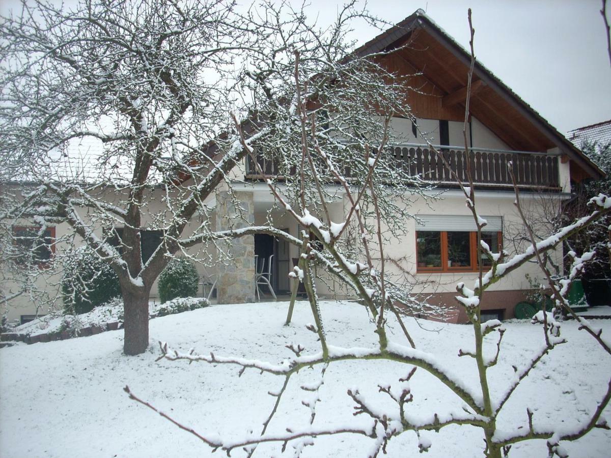 Ferienwohnung Lahntal/Taunus Huttenberg Exterior foto